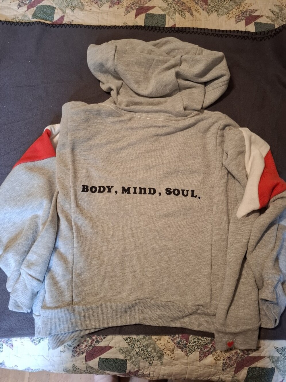 Wildfox Gray Hoodie with Red and White Sleeve Panels